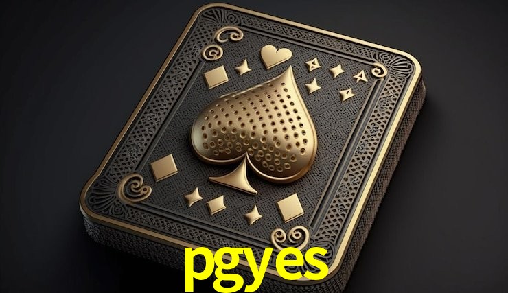 Experiência VIP pgyes